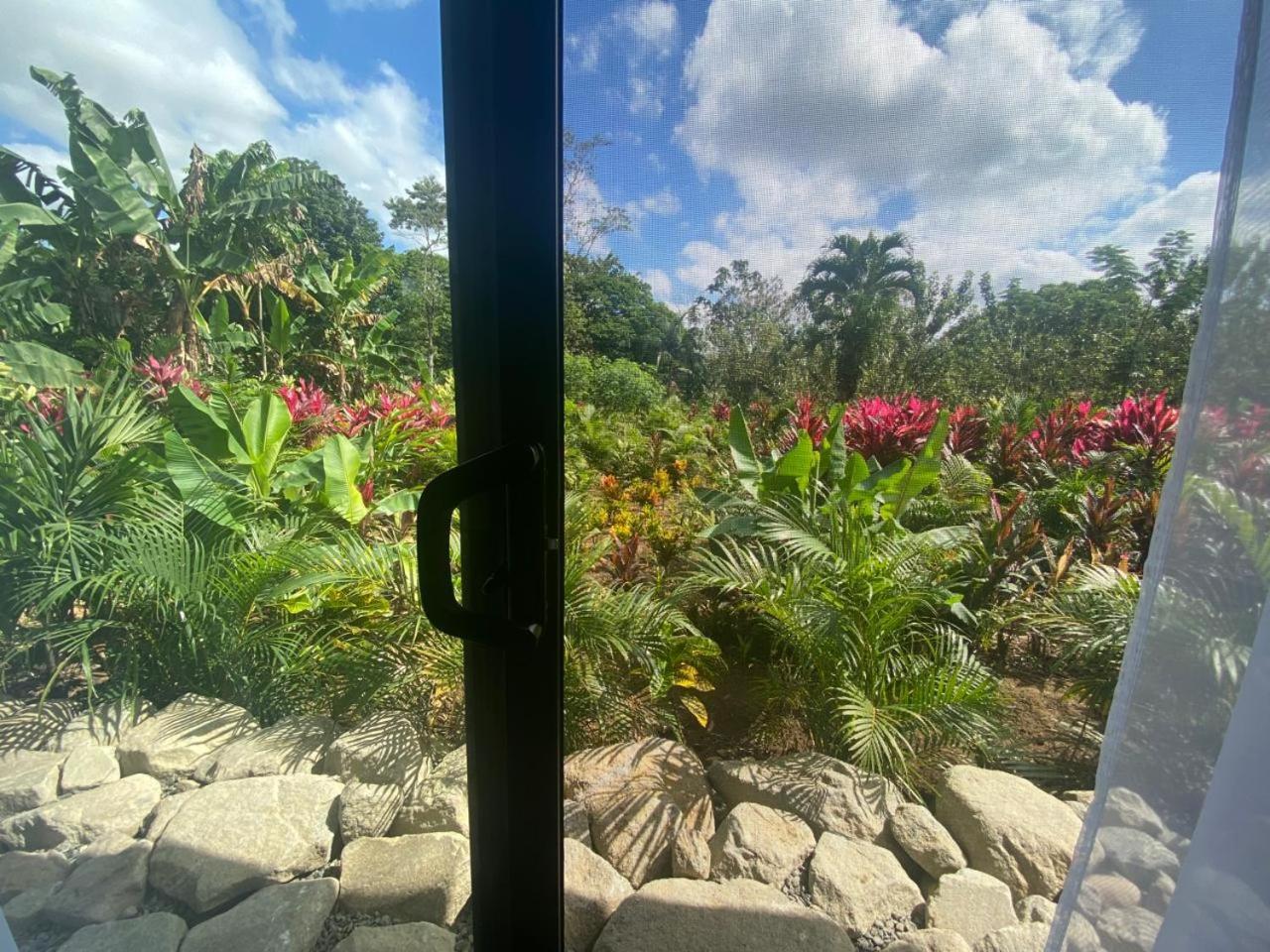 Toucan Home La Fortuna Dış mekan fotoğraf